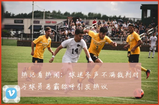热记看热闹：球迷齐声不满裁判对方球员恶霸称呼引发热议
