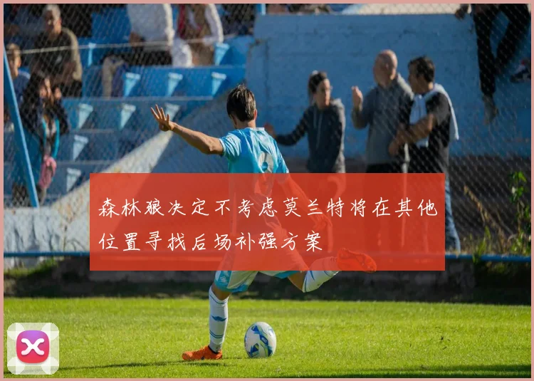 森林狼决定不考虑莫兰特将在其他位置寻找后场补强方案